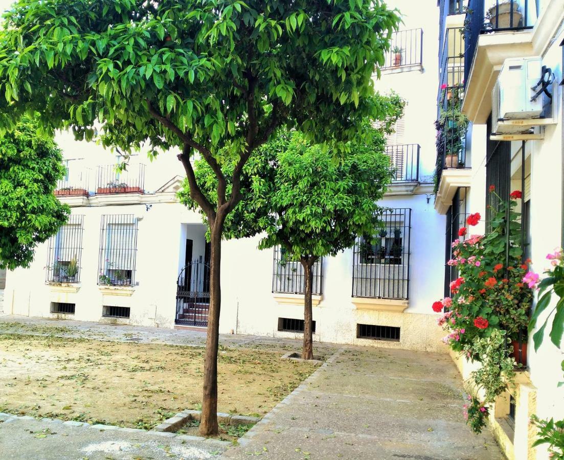 Apartamento Plaza Compañia Jerez Jerez de la Frontera Exterior foto