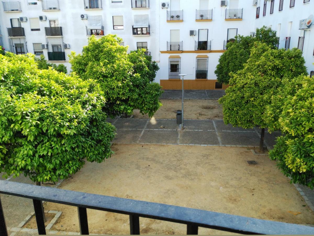 Apartamento Plaza Compañia Jerez Jerez de la Frontera Exterior foto