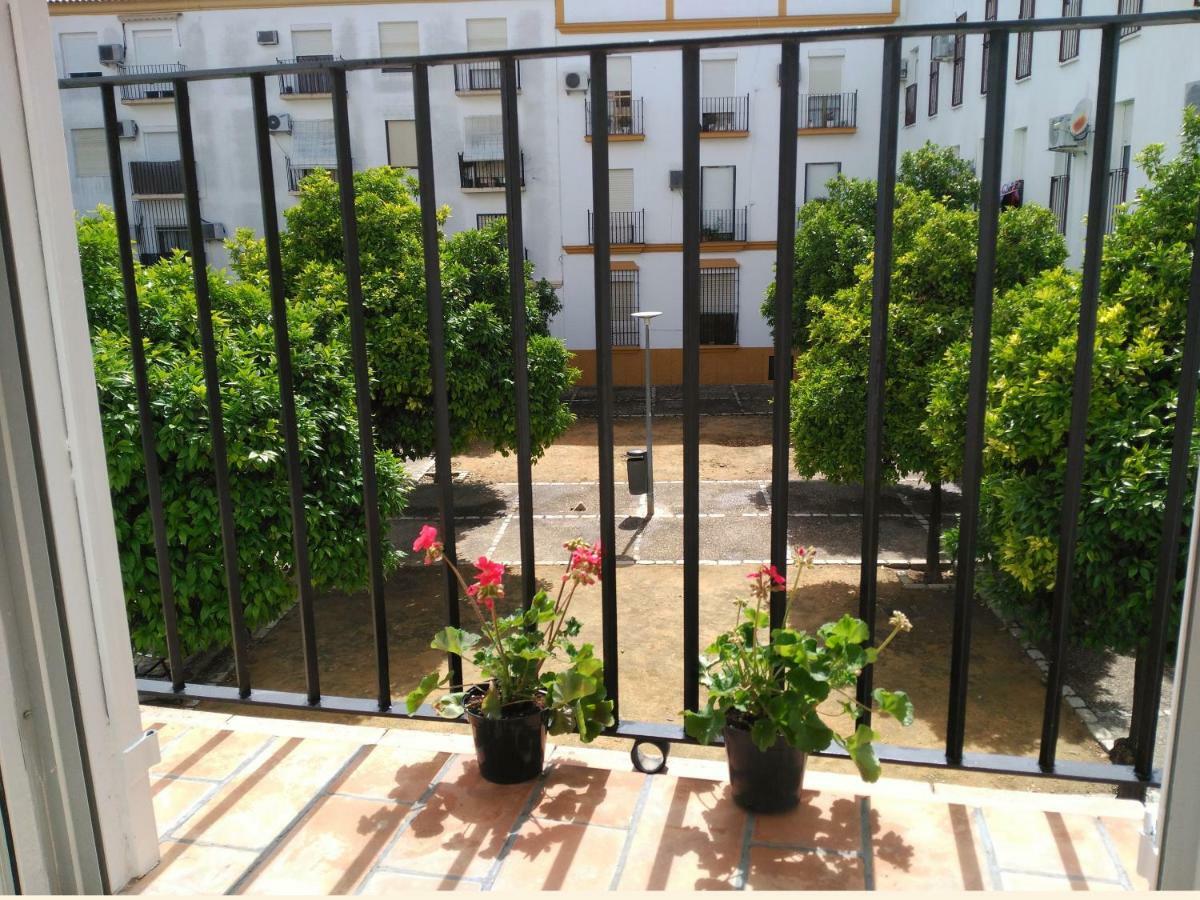 Apartamento Plaza Compañia Jerez Jerez de la Frontera Exterior foto